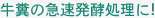 最新の離乳子豚育成装置です！